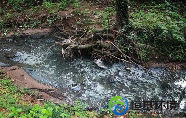 養殖污水處理